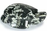 Polished Chinese Writing Rock Turtle - California #309062-1